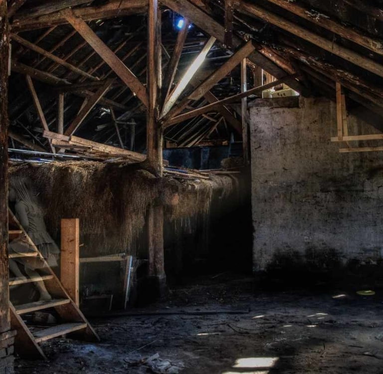 attic space in Colorado Springs home showing mold growth on roof decking caused by inadequate ventilation and condensation