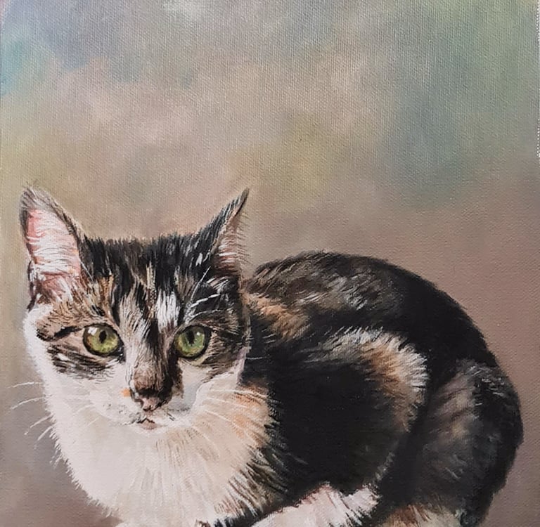 Acrylic - Cat - 2021