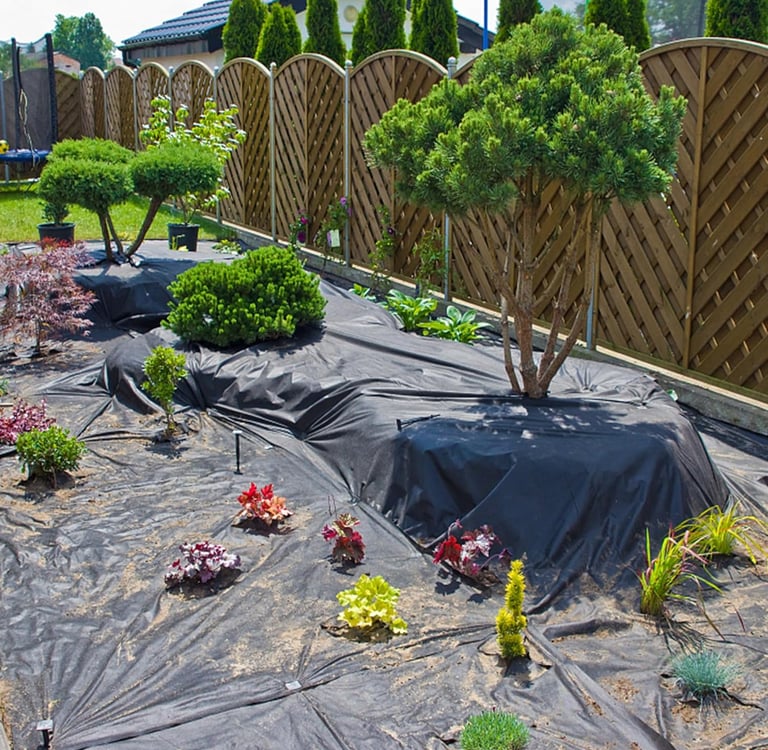 Black weed barrier fabric installed in a garden landscape with ornamental trees and shrubs.