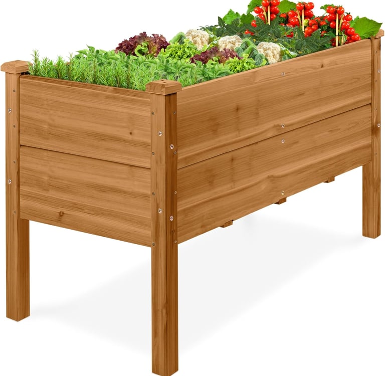 Elevated wooden raised garden bed filled with fresh vegetables and herbs on a white background.