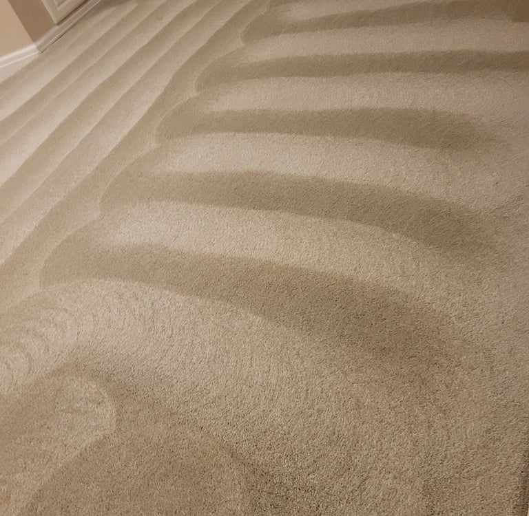 King organic Clean, Finished results of organic Carpet Cleaning