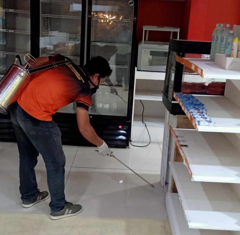 Professional pest control technician spraying disinfectant or insecticide in a commercial retail store kitchen.