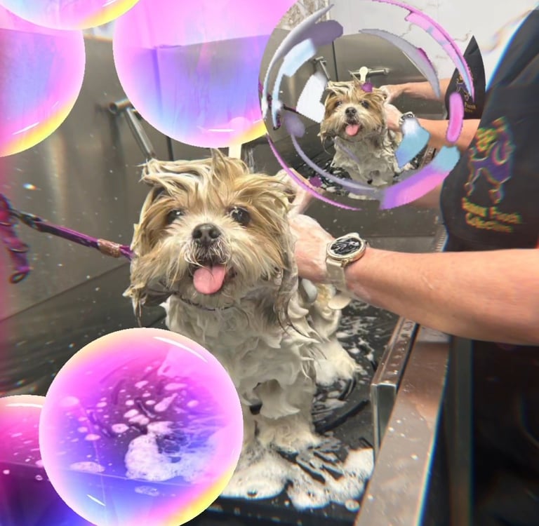 Happy, clean dogs all squeaky clean