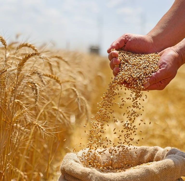 Precizna poljoprivreda banjaluka