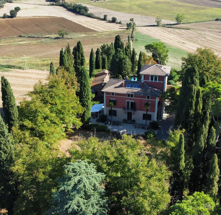 Villa Violetta - domaine Cesarini