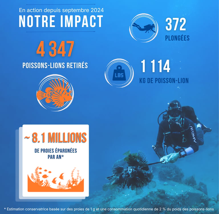 Résumé de l'impact des actions de TTT
