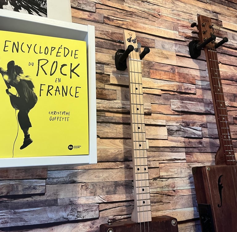 Photo sur une étagère de la couverture de l'encyclopédie du rock