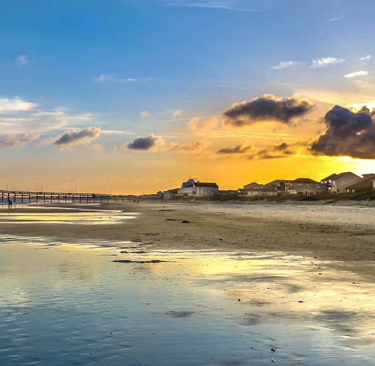 Sea Leaf book design provides eye-catching covers, readable inside page design, and book formatting