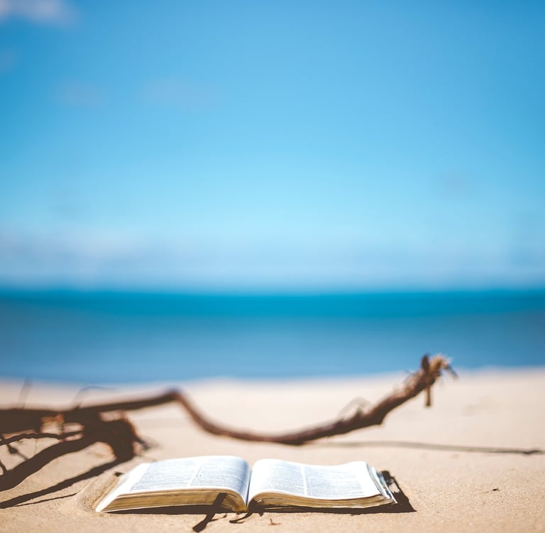 What type of editing do you need?