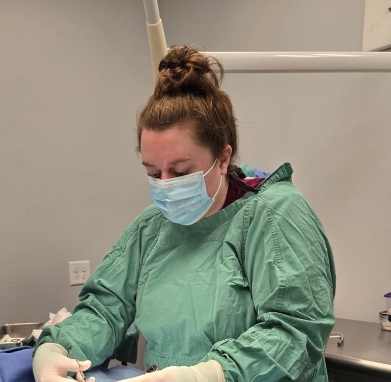 Owner and Veterinarian performing a procedure