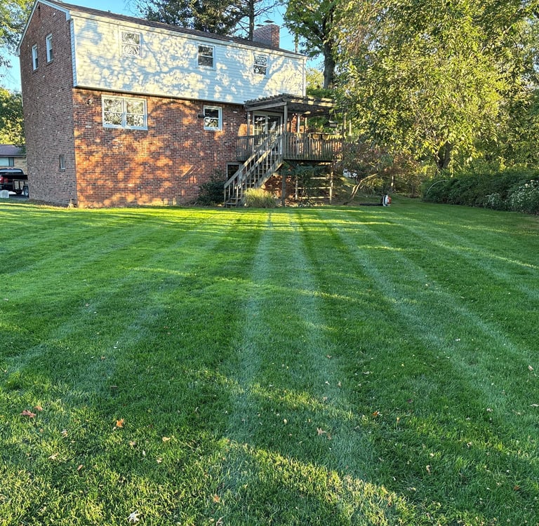 Yard Maintenance Bethel Park, PA