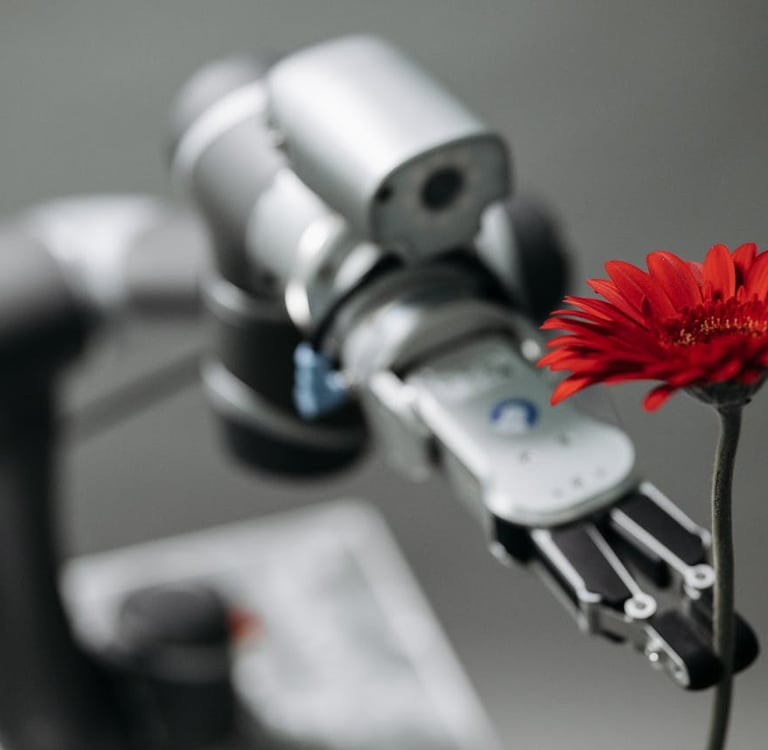 Photo by Pavel Danilyuk: https://www.pexels.com/photo/robot-holding-a-red-flower-8438966/