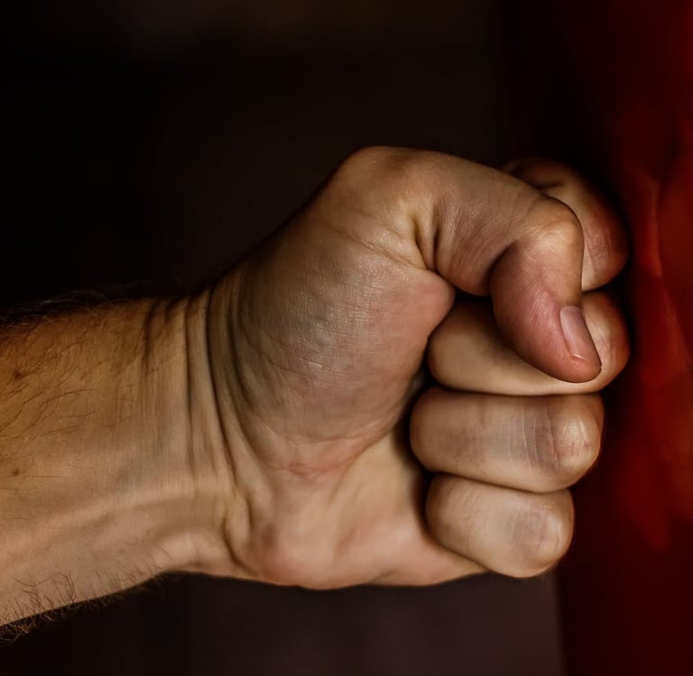 Photo by Pixabay: https://www.pexels.com/photo/human-fist-163431/