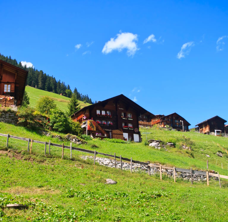 Traditional wooden Swiss chalets nestled on a lush green hillside in the Alps under a blue sky.
