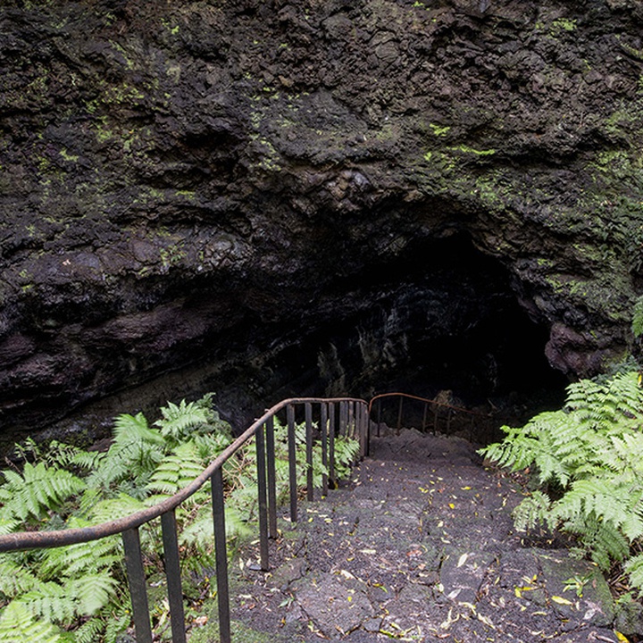 Stone stairs with a metal railing lead down into the dark entrance of a volcanic lava tube cave surrounded by ferns.