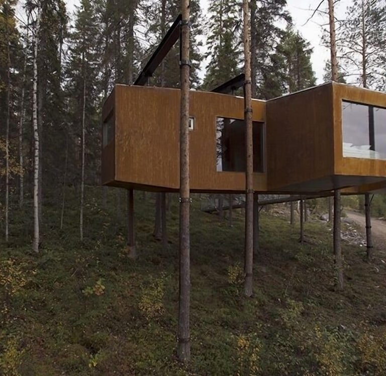 A modern, elevated treehouse hotel cabin suspended in a lush pine forest for a luxury nature retreat.