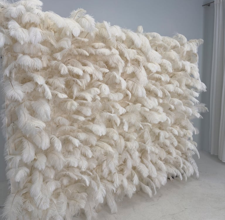 Plunksnu sienele, isskirtine foto siena vilniuje, plunksnu foto sienele, foto zona, dekoras