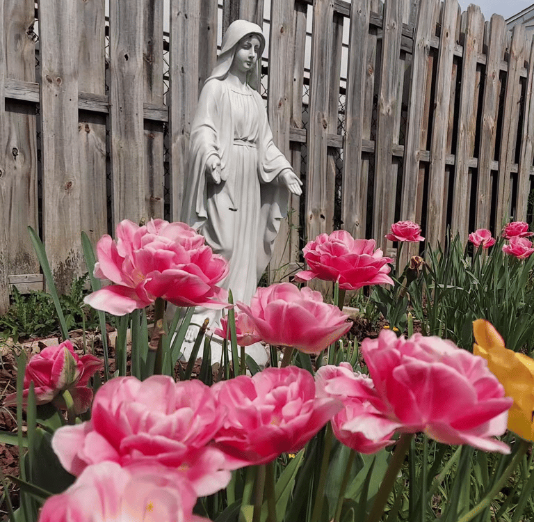 prayer garden Mary image