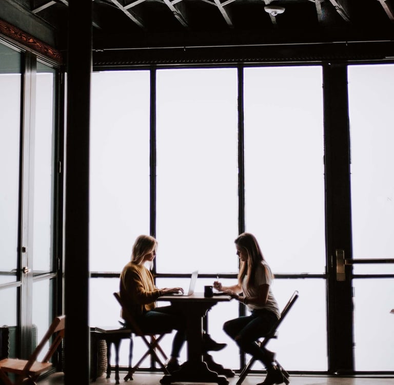 Business Meeting - Presentation of Benefits and Services