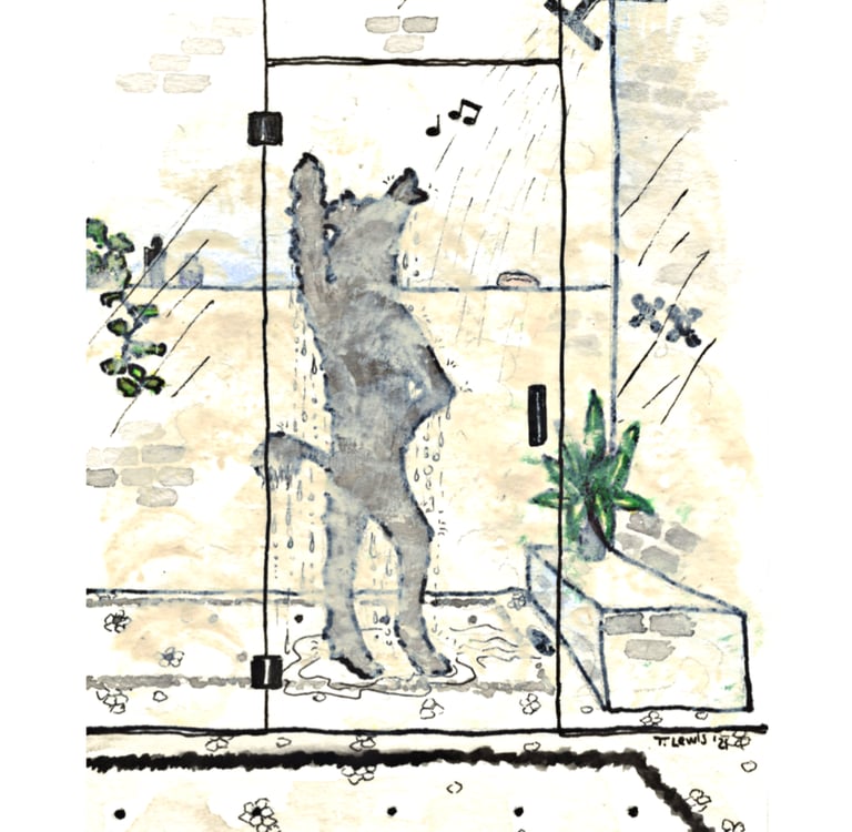 a dog in a shower