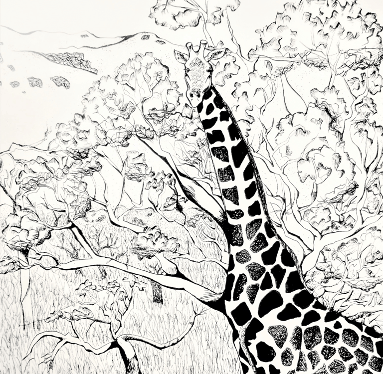 a giraffe standing in a savannah with trees
