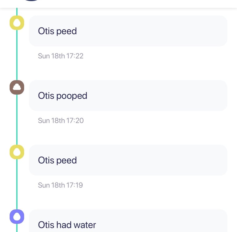 a screenshot of a report card in the Walkies app