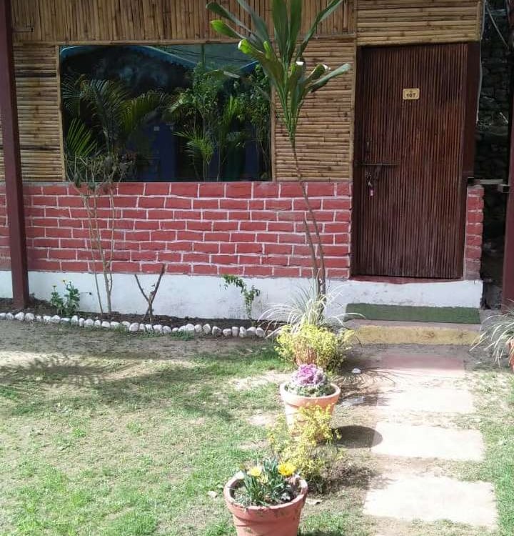 Bamboo Cottages at Jungle Lore Resort with plants and relaxing space