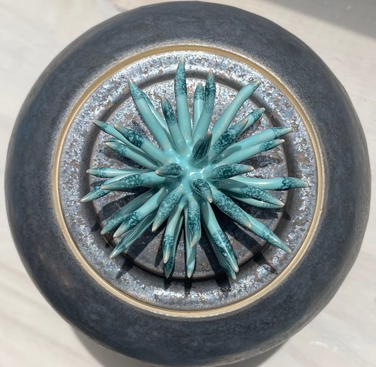 boîte boule bouchon épine