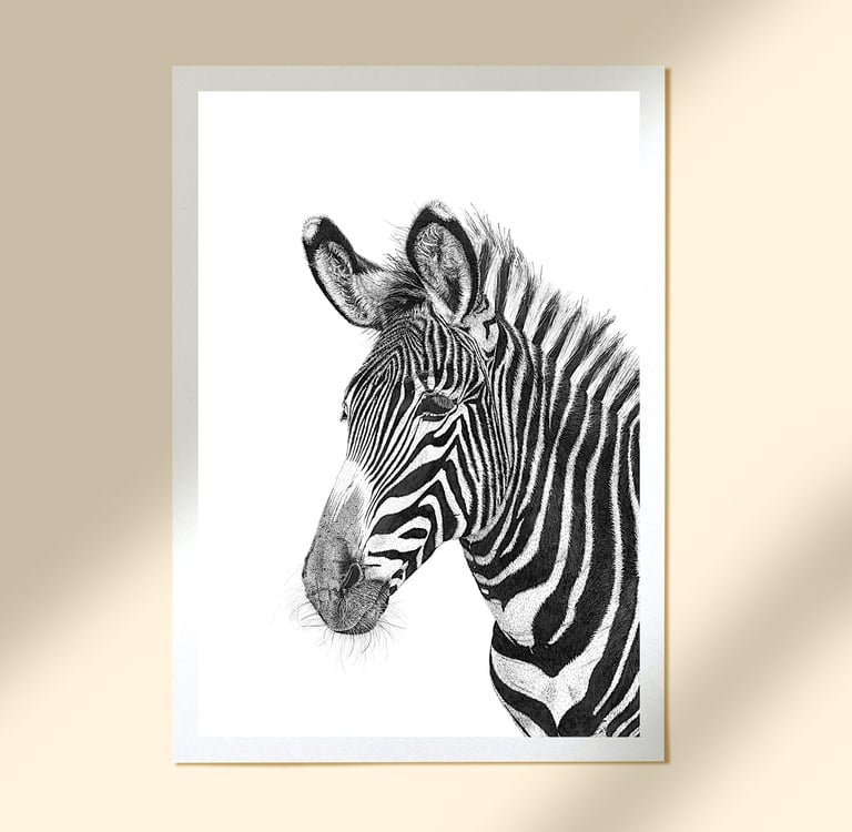 Wildlife Art - Grévy's Zebra