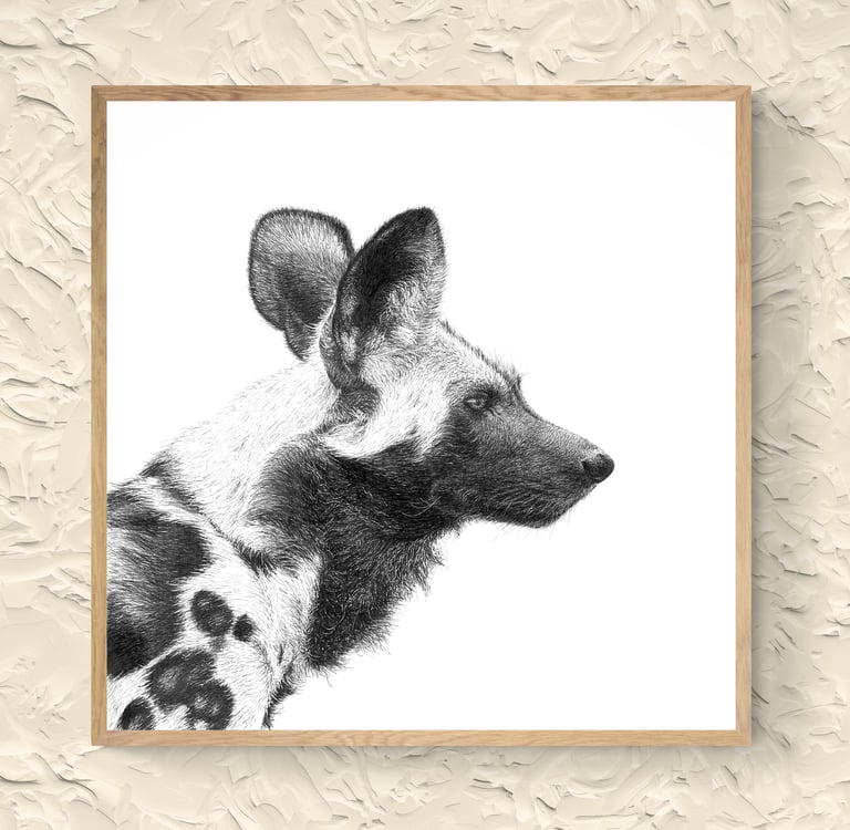 Wildlife Art - African Wild Dog