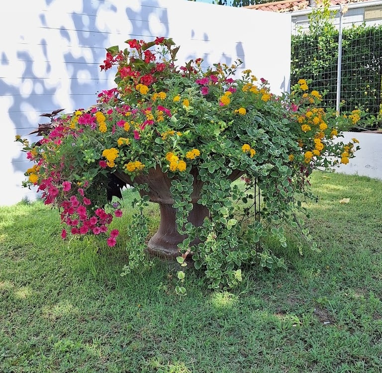multiple plants and flowers thriving tohether in a large bed