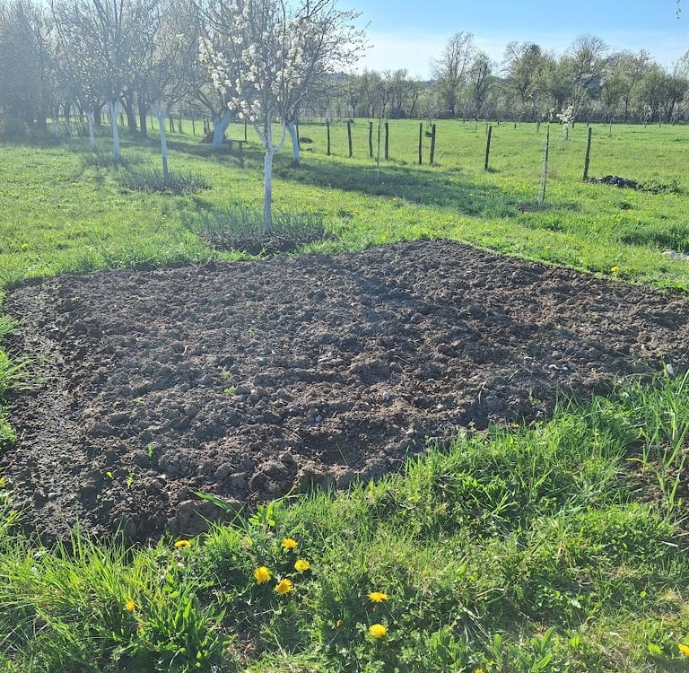 a garden with growing crops planted by seniors