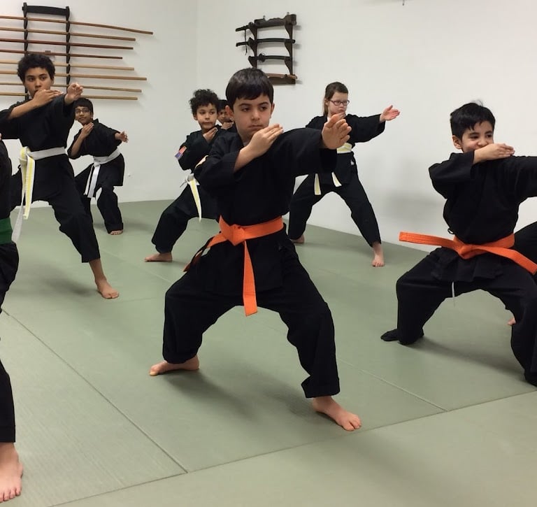 kids martial arts