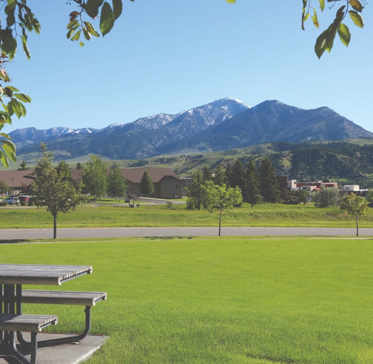 a picnic table with a picnic table and a picnic table