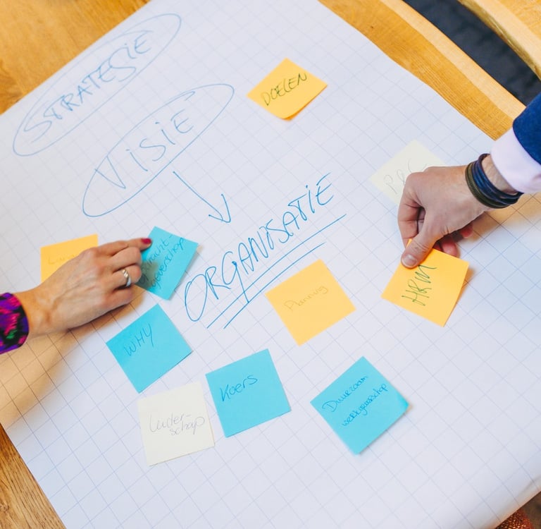 Strategie en inrichting van organisaties