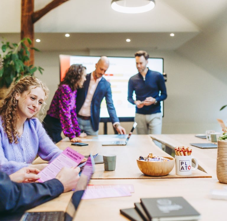 De professionals van Plato