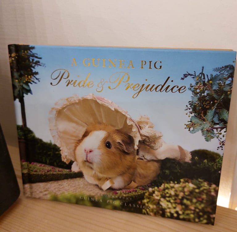 Buch bei Hundt Hammer Stein