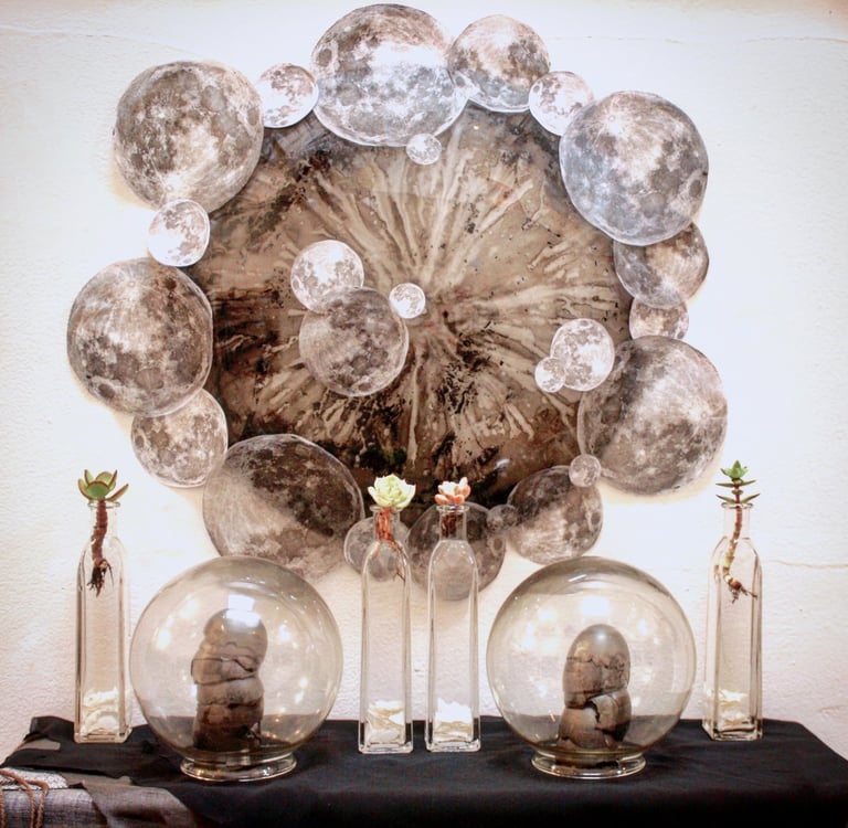 an altar with full moon elements as we some plants on a shelf