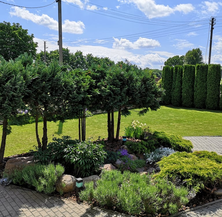 Naujo sklypo apželdinimas, vejos ir gėlynų įrengimas, laistymo sitema