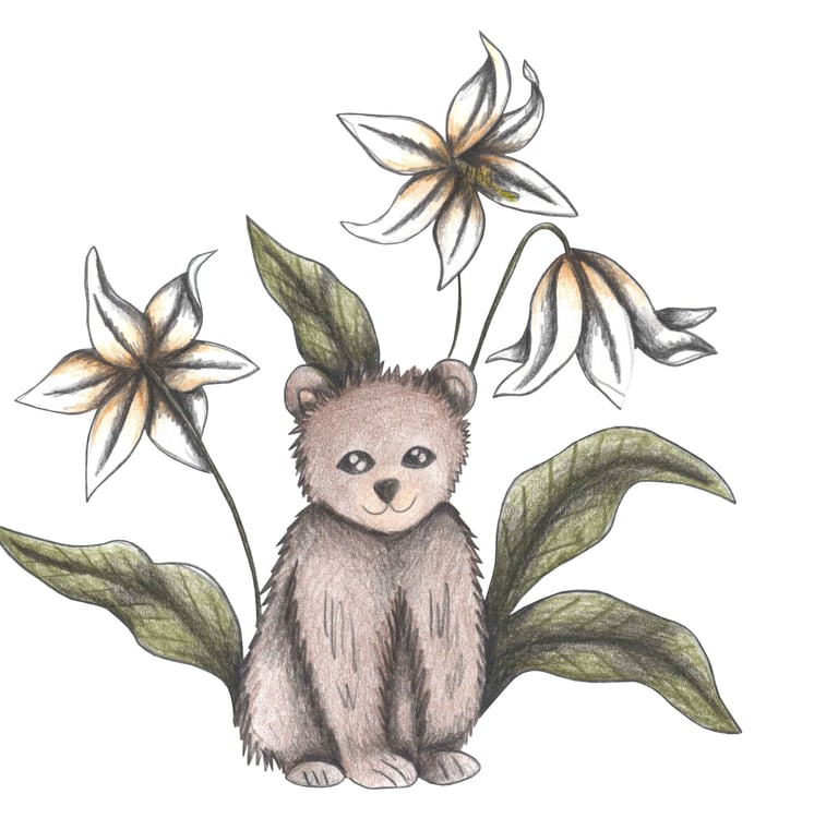 Hand-drawn illustration of a bear surrounded by white flowers