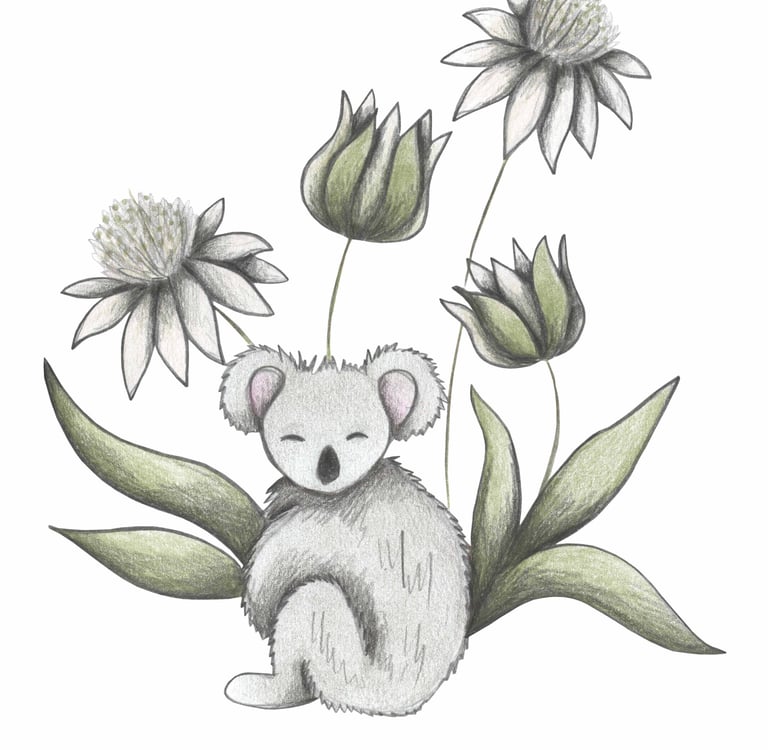 Hand-drawn illustration of a koala surrounded by white and green flowers