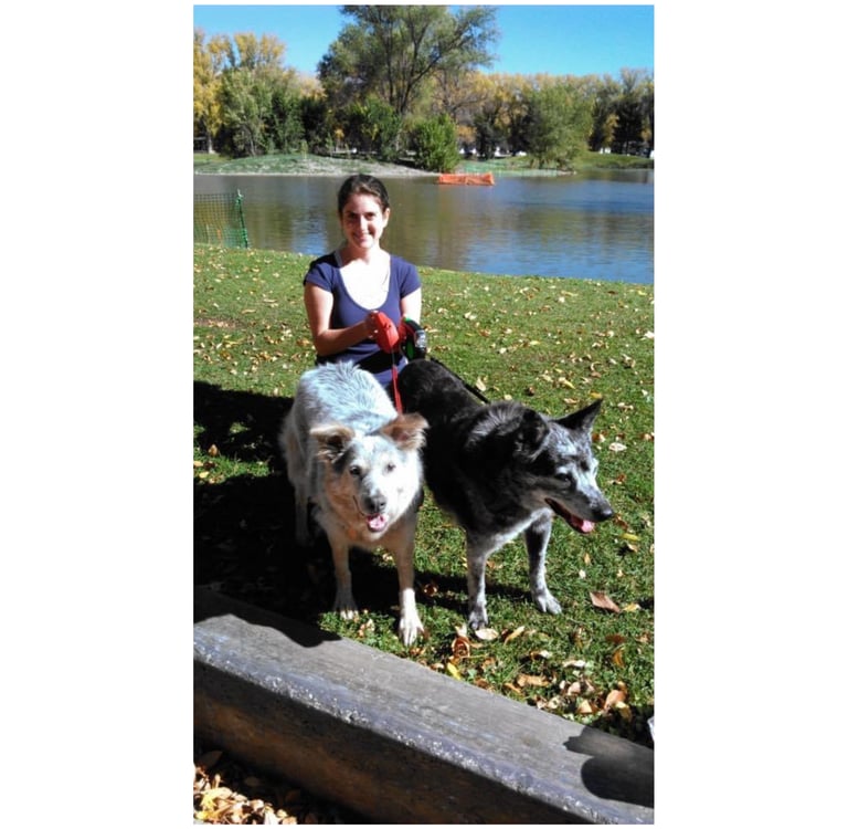 Bailey's adoption day!