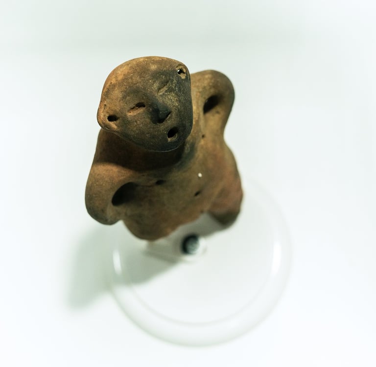 imagem de estatua rupestre museu de arqueologia de rondonia