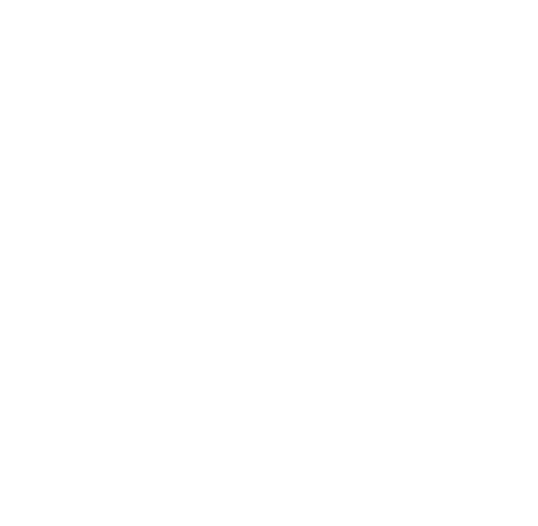 pioneer logo white
