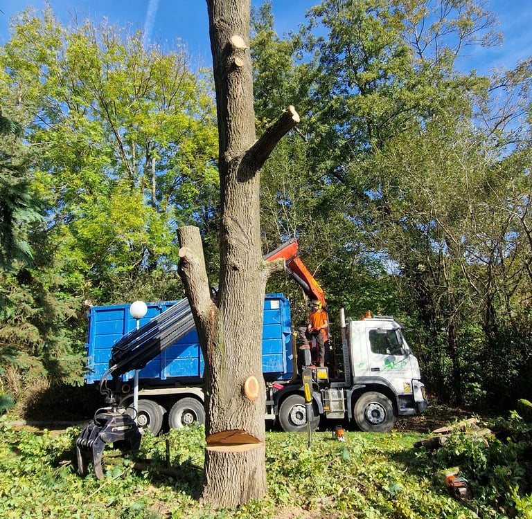 camion d'élagage en plein action de ramassage de branches
