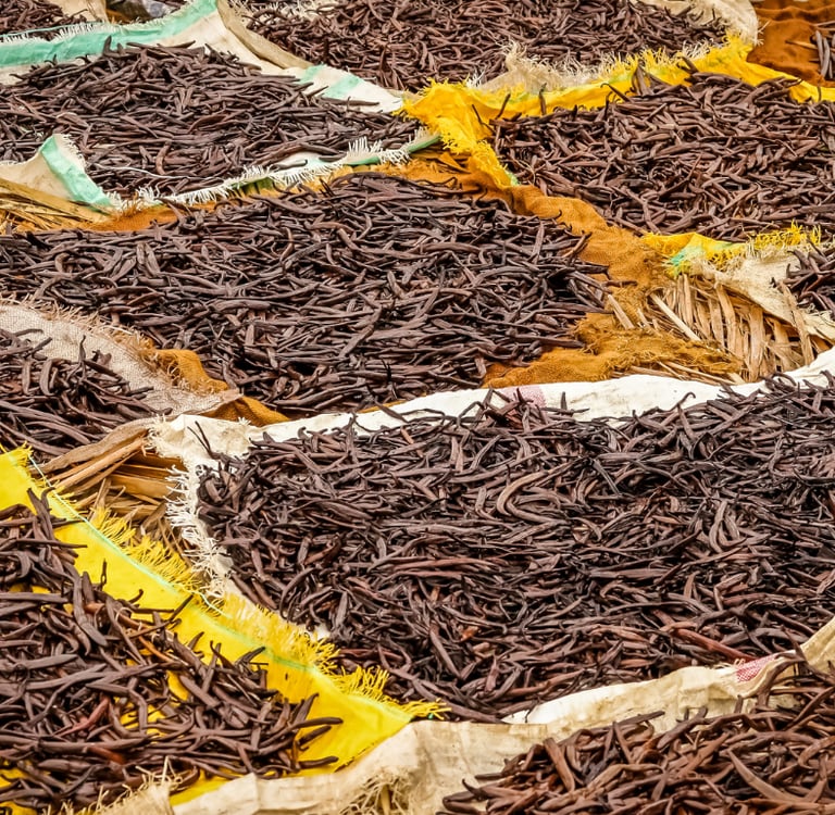 photo qui représente le séchage de la vanille 