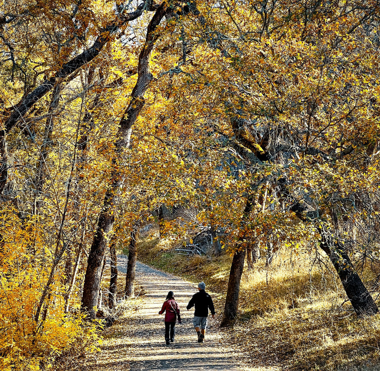 Photo de <a href="https://unsplash.com/fr/@sterlinglanier?utm_content=creditCopyText&utm_medium=refe