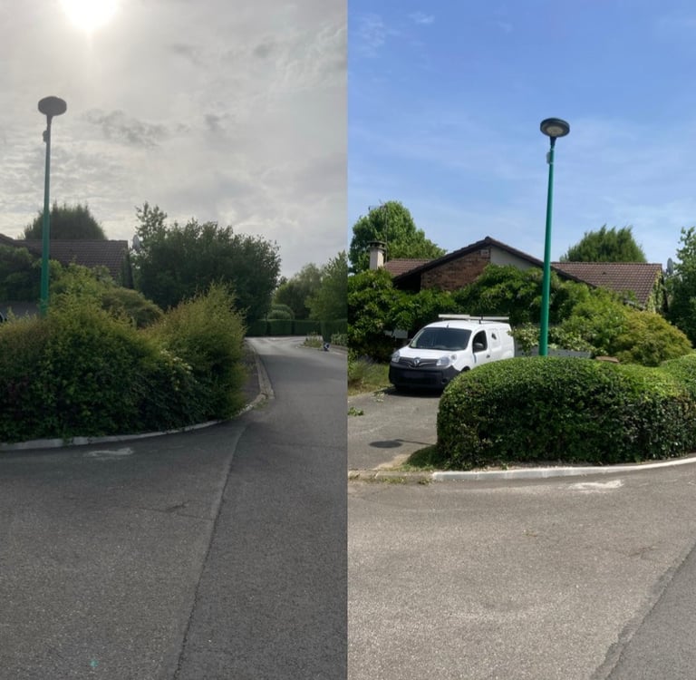 Taille de haies à Soisy-sur-Seine et aux alentours