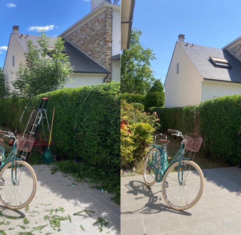 Taille de haies à Soisy-sur-Seine et aux alentours