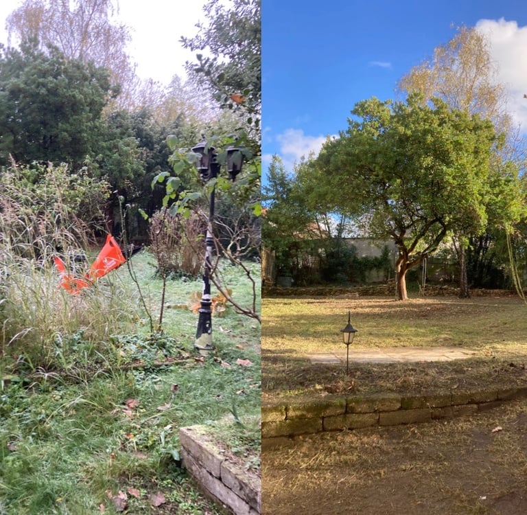 Entretien de jardins à Soisy-sur-Seine et aux alentours.